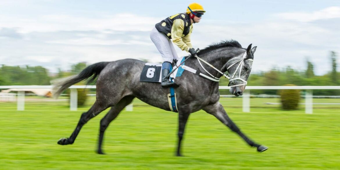 evenementen in twente